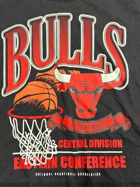 NBA Ultra Game Chicago Bulls Central Division Graphic Tee M Black Short Sleeve E